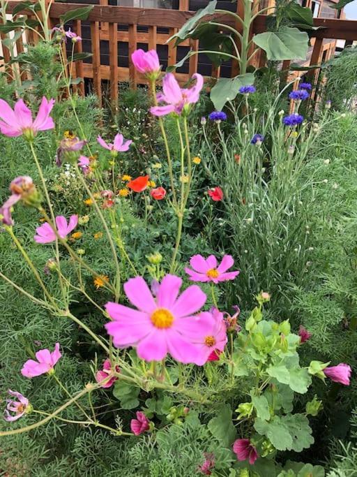 Atlantis Garden Tiny HomeHildale エクステリア 写真
