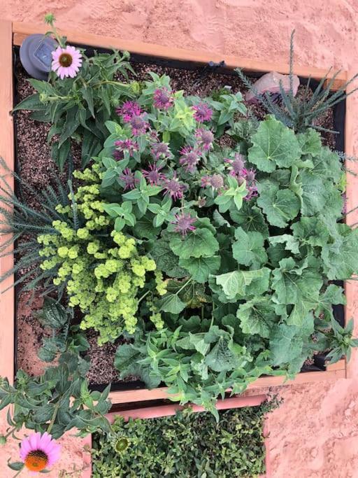Atlantis Garden Tiny HomeHildale エクステリア 写真