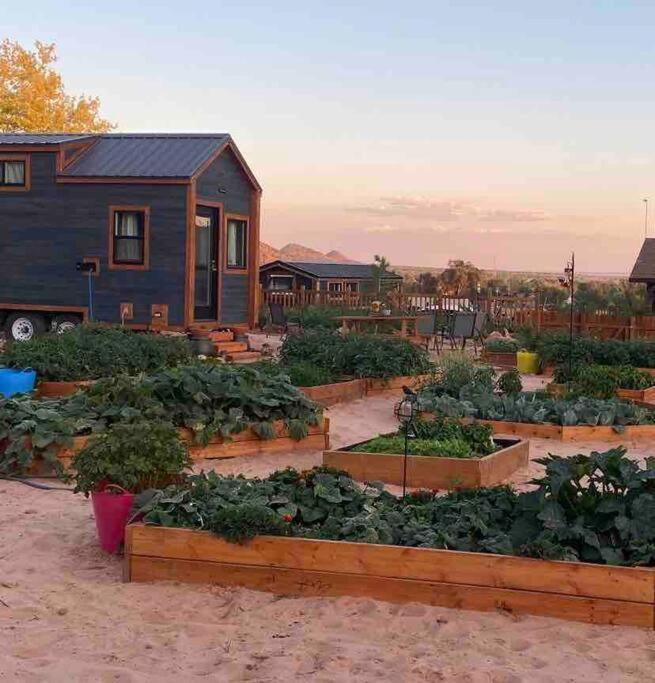 Atlantis Garden Tiny HomeHildale エクステリア 写真